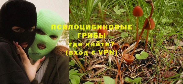 молекула духа Алзамай