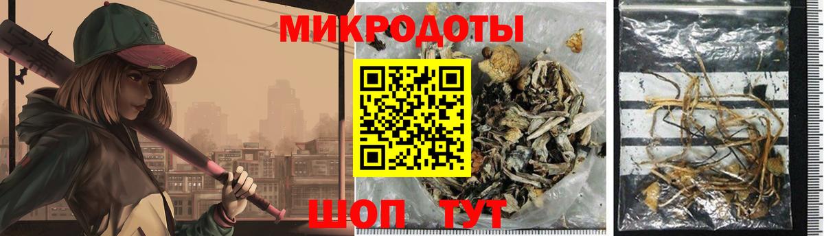 Псилоцибиновые грибы Psilocybe  Вход с VPN  Уссурийск 